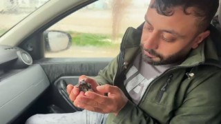 Sel sularında çırpınan serçeyi habere giden gazeteci kurtardı