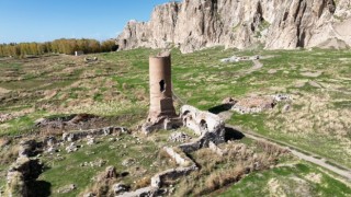 Selçuklu dönemine ait tarihi Van Ulu Caminin restorasyon çalışmaları başladı