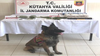 Simavda jandarmanın uyuşturucu ve kaçak sigara operasyonu