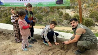 Simavda okul ve cami bahçesine fidan dikimi
