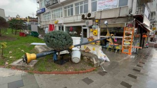 Sinopta fırtına: Tabelalar ve ağaçlar devrildi