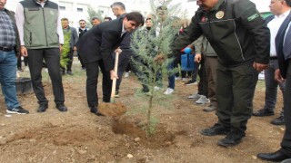 Şırnakta 250 bin fidan toprakla buluşacak