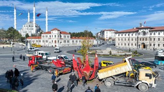 Sivas'ın sembolü olan ağaç'ın yerine yenisi dikildi