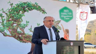 Sivasta 30 bin fidan toprakla buluştu