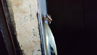 Siverekte evleri su bastı, elektrik prizlerinden su fışkırdı