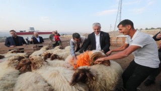 Tahmazoğlu “Hayvancılığa desteğimiz sürecek”