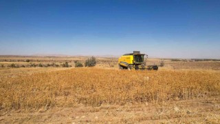 Talasta 2 bin 500 litre aspir yağı alındı