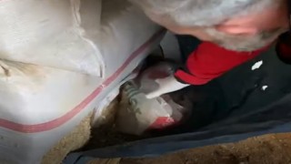 Tarihi eser ve uyuşturucu maddeyle yakalanan şüpheli tutuklandı