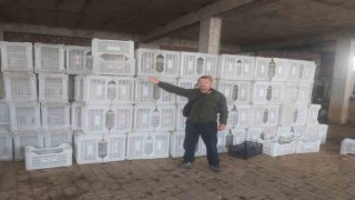Tarım Kredi zeytin üreticisini yüzüstü bıraktı