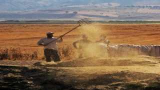 Tarım ürünleri üretici fiyat endeksi yıllık yüzde 62,56 arttı