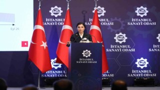 TCMB Başkanı Hafize Gaye Erkan: Türk Lirasına geçiş başlamıştır