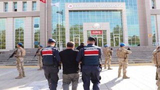 Terör örgütlerine yönelik operasyonda 255 şüpheli yakalandı