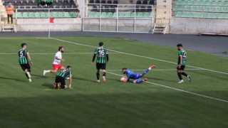 TFF 2. Lig: Denizlispor: 1 - Düzcespor: 2