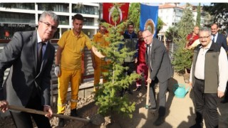 Tıp fakültesinde fidanlar toprakla buluştu