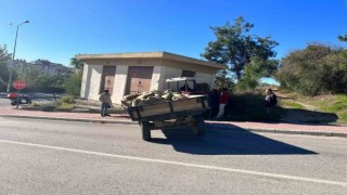 Trafoya çarpan traktörün sürücüsü yaralandı