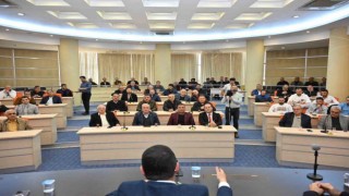 Tütüncüden galerici esnafına müjde