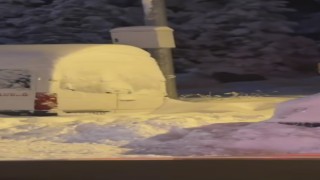 Uludağda kış uykusuna yatamayan ayılar yemek aramaya çıktı