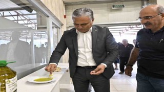 Uysal, ‘Zeytin rekoltemizi arttırmamız lazım