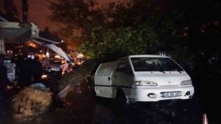 Üzerine ağaç düşen aracın sürücüsü yara almadan kurtuldu