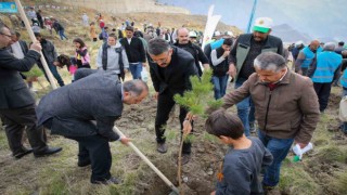 Vali Ali Çelik: Ağaçlar; yağmura ve iyiliğe karşı açılmış bir dua