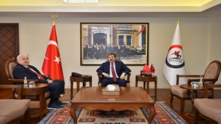 Vali Tavlı: “Fındığa gözümüz gibi bakmalıyız”