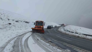 Vanda 2 bin 730 rakımlı Güzeldere Geçidinde kar yağışı