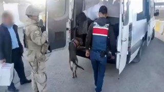 Vanda 9 kişi tutuklandı