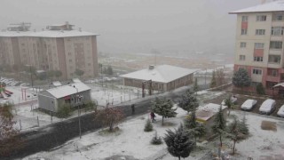 Vanda kar yağışı: 142 yol ulaşıma kapandı, uçaklar rötar yaptı