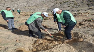 Yahyalıda binlerce fidan toprakla buluştu