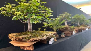 Yalovada, 3. Uluslararası Bonsai Sempozyumu
