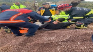 Yalovada göçük sonucu toprak altında kalan işçi kurtarıldı