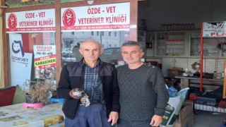 Yaralı bulduğu şahini tedavi ettirdi