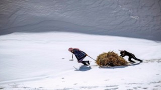 Yardımlaşmanın fotoğrafı