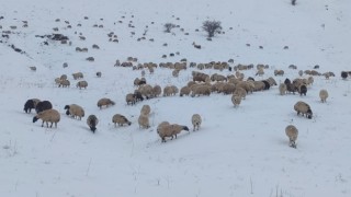 Yaylacıların dönüş yolu çilesi