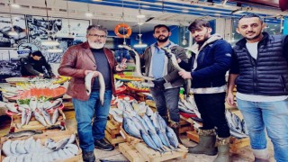 Yılan balıkları göçleri kadar besin değerleri ile de ilgi çekmeye başladı