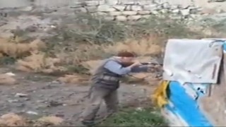 Yolun ortasında 2 köpeği vurdu