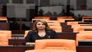 Yurtdışına gitmek isteyen hekimlerin sayısı 10 yılda 36 kat arttı