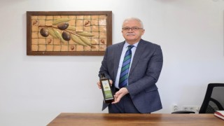 Zeytinin başkenti Burhaniyede hasat zamanı