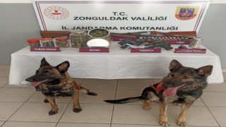 Zonguldakta evde uyuşturucu ve ruhsatsız silah operasyonu