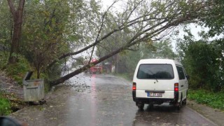 Zonguldakta fırtına ve yağmur hayatı olumsuz etkiledi