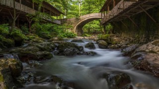400 fotoğraf tutkunun katıldığı yarışmada kazanan belli oldu