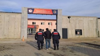 517 şüpheli jandarma ekiplerince yakalandı