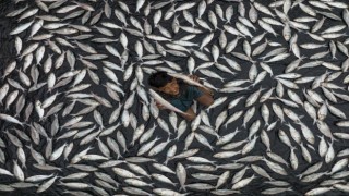 Akdeniz Belediyesinin 3. Uluslararası Fotoğraf Yarışması sonuçlandı