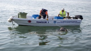 Akdeniz'de mikroplastik tehlikesi