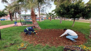 Akdenizde park, bahçe ve yeşil alanlar çiçekleniyor