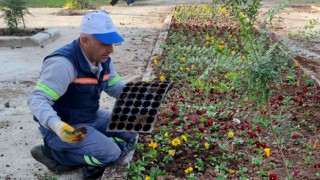 Akdeniz'de park ve yeşil alanlar yenileniyor