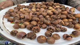 Alaşehirde şifa kaynağı muşmula yok satıyor