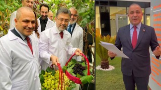 Alaşehirli üzüm üreticilerine müjde