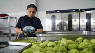 Altınovanın kadınları üretimle güçleniyor