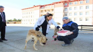 Amasyada meslek liseliler yemek artıklarını kedi ve köpek mamasına dönüştürdü